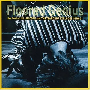 Pochette Floored Genius: The Best of Julian Cope and the Teardrop Explodes 1979–91
