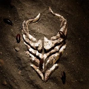 Pochette de I'm Done de Demon Hunter