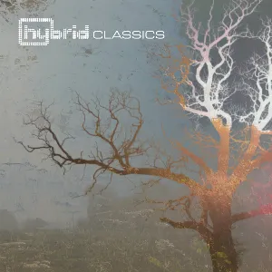 Pochette de Classics de Hybrid