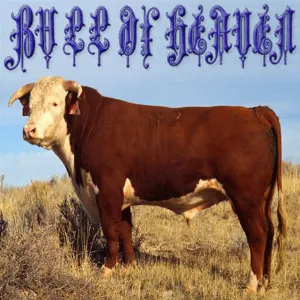 Pochette de 208: As You Etch on the Inner Window of Your Eye de Bull of Heaven