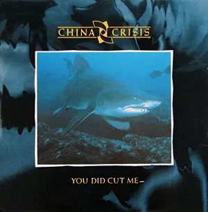 Pochette de You Did Cut Me de China Crisis