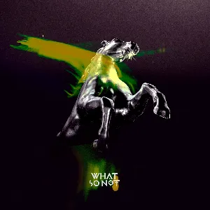 Pochette de Beautiful (remixes) de What So Not