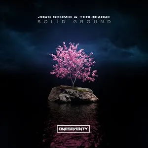 Pochette de Solid Ground de Technikore