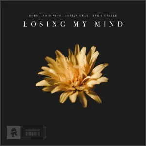 Pochette de Losing My Mind de Julian Gray