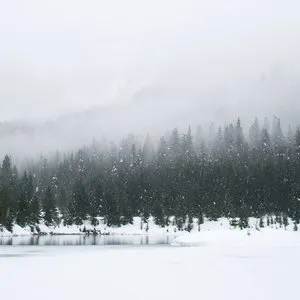 Pochette de Winter Drones de Scott Lawlor