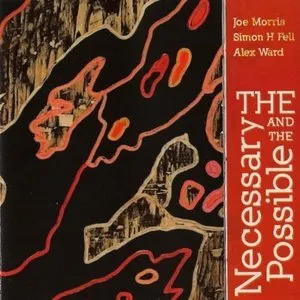 Pochette de The Necessary And The Possible de Joe Morris