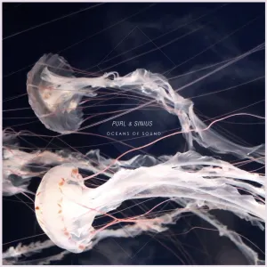 Pochette de Oceans of Sound de Purl