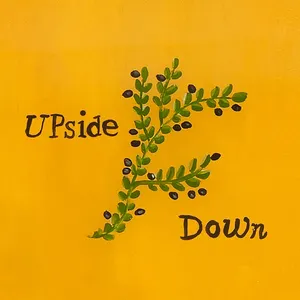 Pochette de Upside Down de Erlend Øye