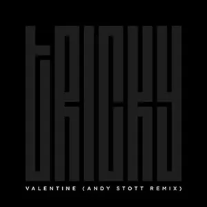 Pochette Valentine (Andy Stott Remix)