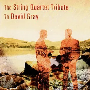 Pochette de The String Quartet Tribute to David Gray de Vitamin String Quartet