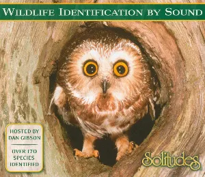 Pochette Wildlife Identification by Sound