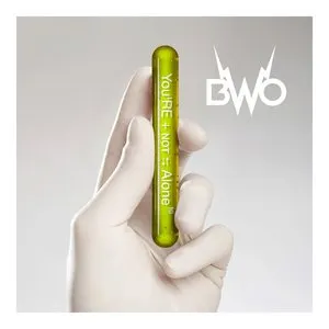 Pochette de You're Not Alone de BWO