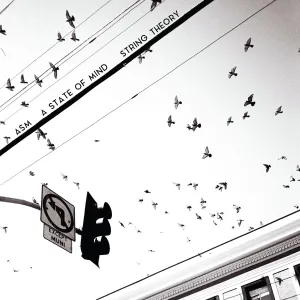 Pochette de STRING THEORY de A State of Mind