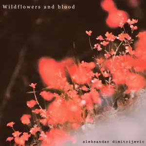 Pochette de Wildflowers and Blood de Aleksandar Dimitrijevic