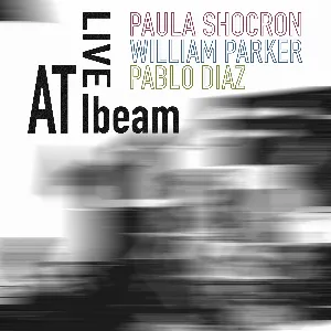 Pochette de Live at Ibeam de William Parker