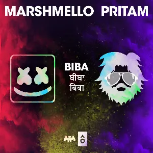 Pochette de BIBA de Marshmello - Pritam