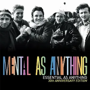 Pochette de Essential as Anything de Mental as Anything