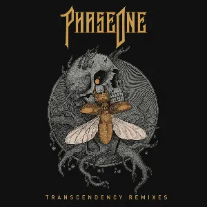 Pochette TRANSCENDENCY Remixes