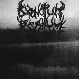 Pochette de Suicide Depression de Sanctum Regnum