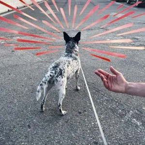 Pochette de What You Want Is Gone de We Are Scientists