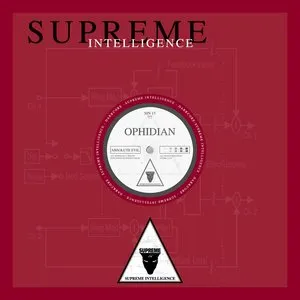 Pochette de Absolute Evil / Black de Ophidian