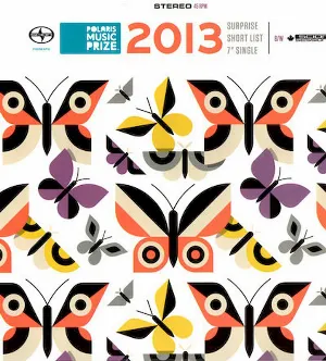 Pochette de Polaris Prize 2013 de METZ