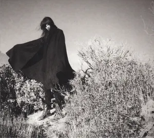 Pochette de Vortex de Wolvennest