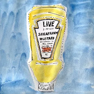 Pochette Saxapahaw Mustard: Josh Rouse Live at Haw River Ballroom