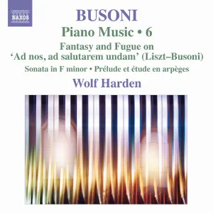 Pochette de Piano Music, Vol. 6 de Ferruccio Busoni - Wolf Harden