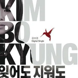 Pochette de Afterwards de Kim Bo Kyung