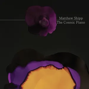 Pochette de The Cosmic Piano de Matthew Shipp
