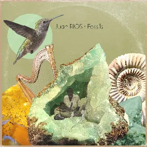 Pochette de Fossils de Juan RIOS