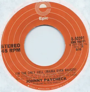 Pochette de I'm The Only Hell (Mama Ever Raised) de Johnny Paycheck