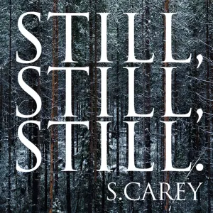 Pochette de Still, Still, Still de S. Carey