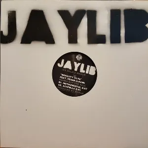 Pochette de McNasty Filth de J Dilla - Madlib