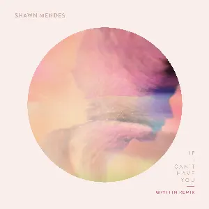 Pochette de If I Can’t Have You (Gryffin remix) de Shawn Mendes