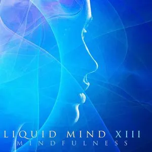 Pochette Liquid Mind XIII: Mindfulness