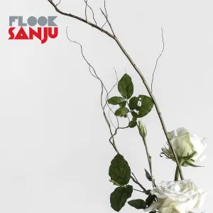 Pochette de Sanju de Flook