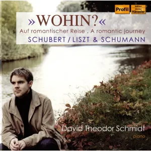 Pochette de Wohin?: Auf romantischer Reise de Franz Liszt - Robert Schumann - Franz Schubert