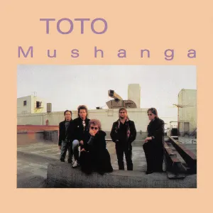 Pochette de Mushanga de Toto