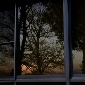 Pochette de Sunset Light Source de Ueda Takayasu