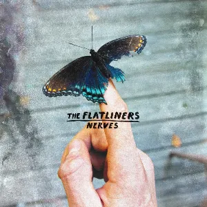 Pochette de Nerves de The Flatliners