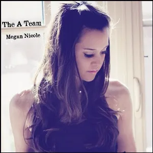 Pochette de The A Team de Megan Nicole