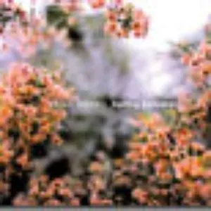 Pochette de Spring Estuary de Koji Asano