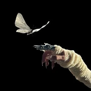 Pochette de Sweet Disposition (ARTBAT remix) de The Temper Trap