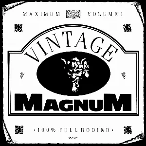 Pochette Vintage Magnum Electric & Acoustic