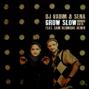 Pochette de Grow Slow (Bonus Cuts) de DJ Vadim - Sena Dagadu