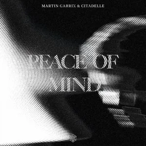 Pochette de Peace of Mind de Martin Garrix