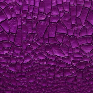 Pochette de Trauma de Le Wanski