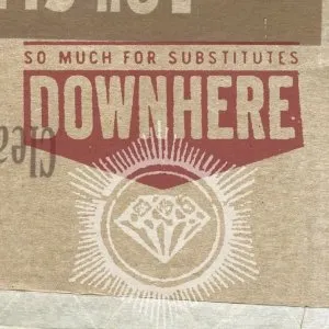 Pochette de So Much for Substitutes de downhere